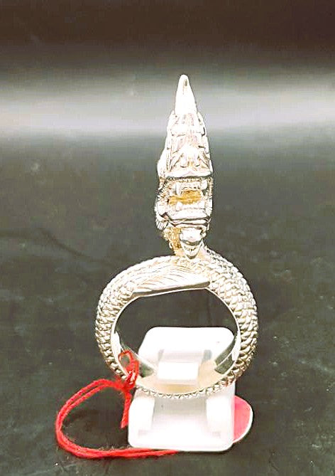 Dragon with fiery eyes Bespoke Sterling Silver Ring